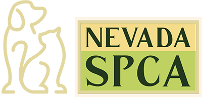 Give Back To the Community 